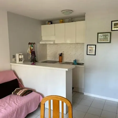 T2 Avec Terrasse, Animaux Admis Et Parking A - Fr-1-379-55 * スーストン