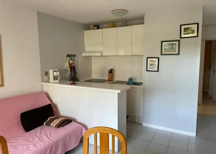 T2 Avec Terrasse, Animaux Admis Et Parking A - Fr-1-379-55 * スーストン