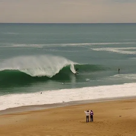 דירה T2 Avec Terrasse, Animaux Admis Et Parking A - Fr-1-379-55